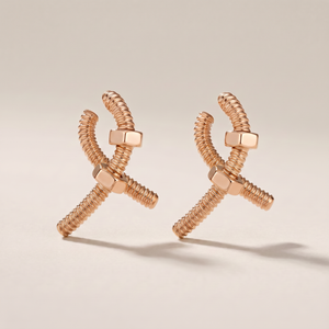 Écrou De Earrings