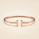 T Wire Bracelet
