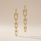 Graduated Link Drop Earrings