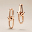 HardWear Large Link Earrings