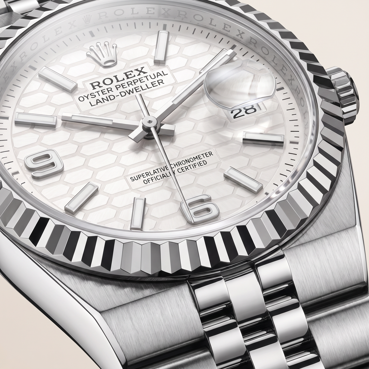 Land-Dweller Oystersteel White Gold Dial Automatic Watch