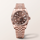 Sky-Dweller Everose Advanced Dual Time With Annual Calendar Display Men’s Watch